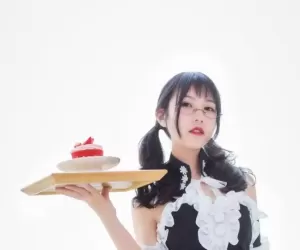 二次元UP主“逐月SU”大尺度女仆写真【66P+1V+906M】